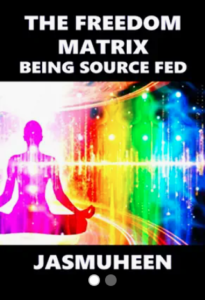 The Freedom Matrix: Being Source Fed Paperback – November 12, 2020